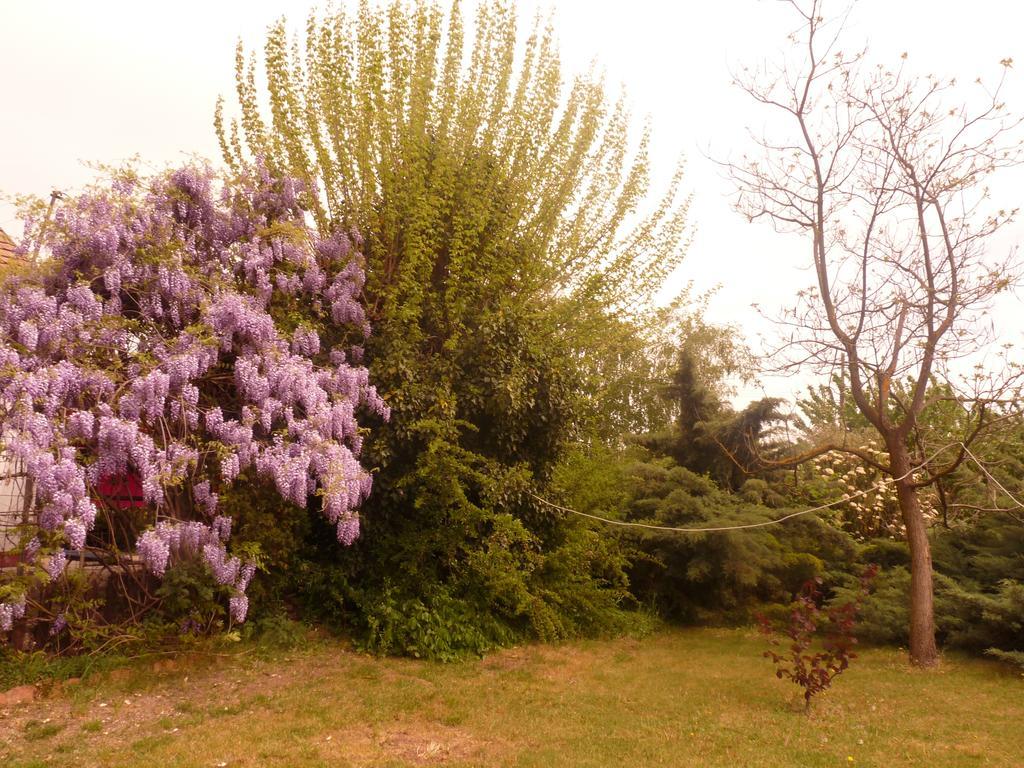 Dobo Tanya Villa Roszke Bagian luar foto