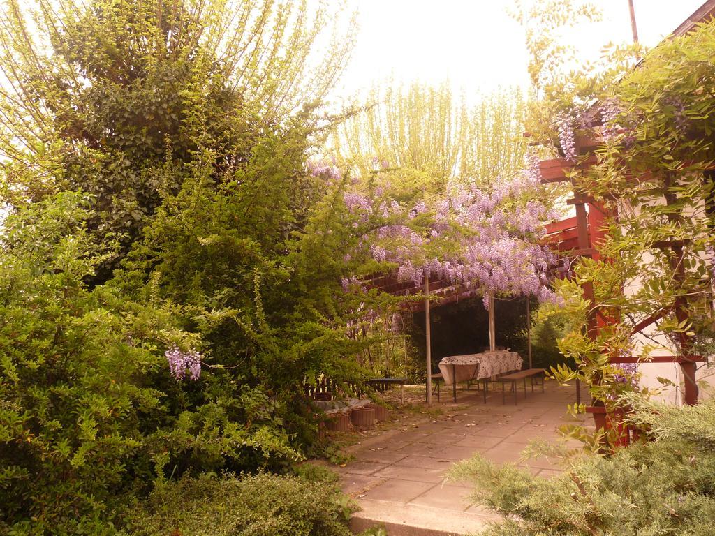 Dobo Tanya Villa Roszke Bagian luar foto