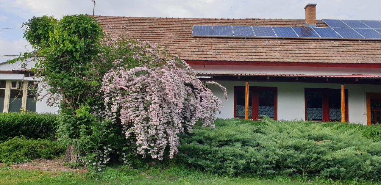 Dobo Tanya Villa Roszke Bagian luar foto