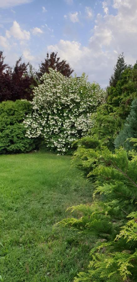 Dobo Tanya Villa Roszke Bagian luar foto
